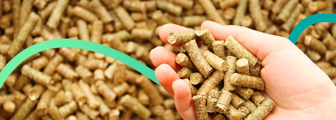 تصویر 3 از کود مرغی طبیعی پشتیبان تعادل زیستی خاک و افزایش سطح کیفی